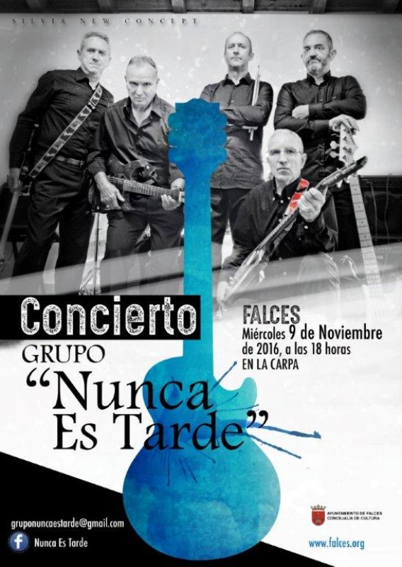 Navarra Pop/Rock Guitarists | falces
