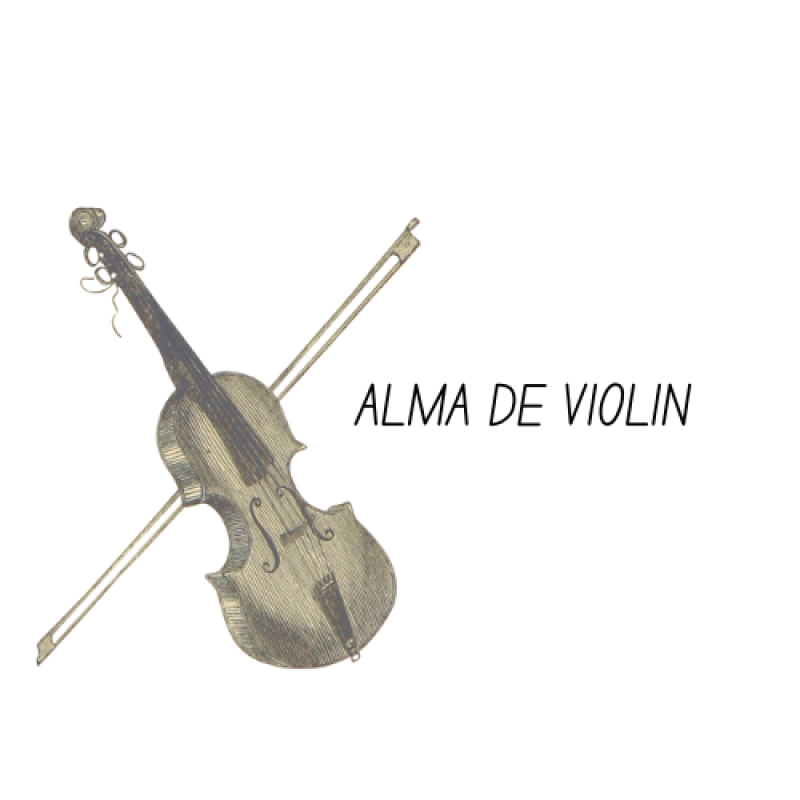 Granada Pop Violinists | missviolin