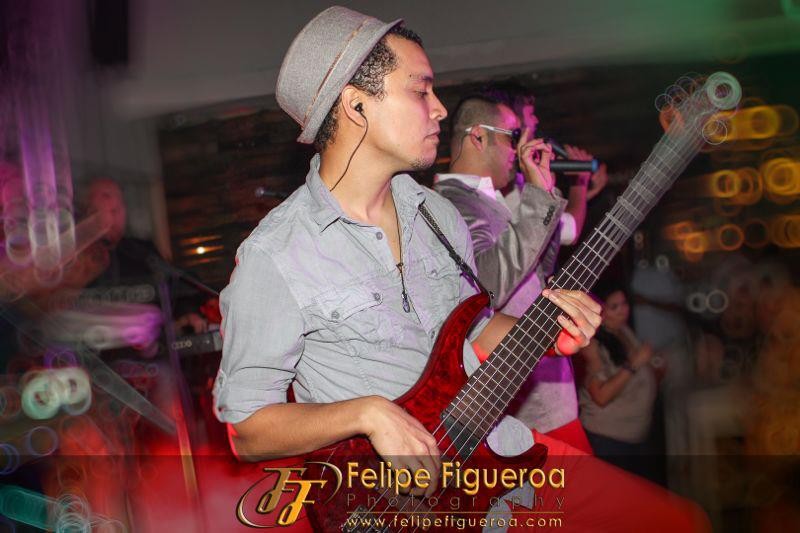 Bajistas Latino Panam | fanner21