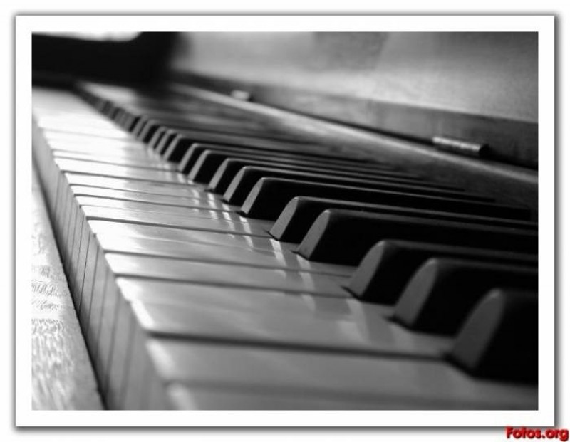 Pianistas Rock Distrito Federal | javiro